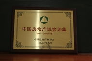 B1、中國房地產(chǎn)誠信企業(yè)2005—2006年